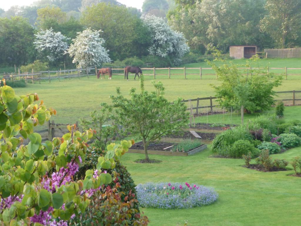 The Corner House Bed and Breakfast Rye Exterior foto